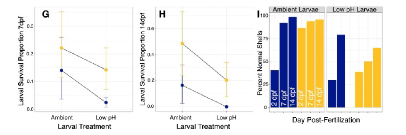 Larval survival graph