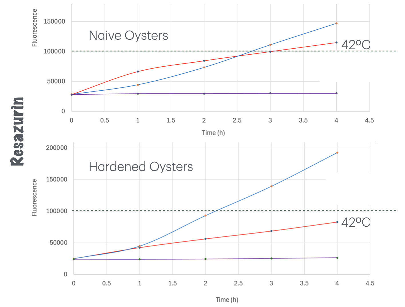 Resazurin assay (4 hour / 2 temperatures) on hardened oysters