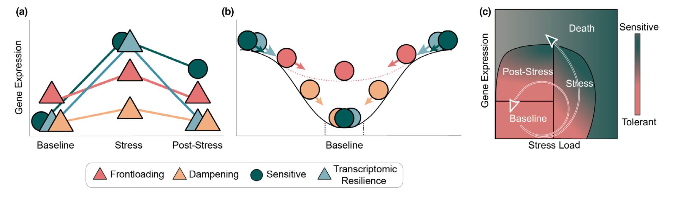 Figure from Rivera et al. 2021