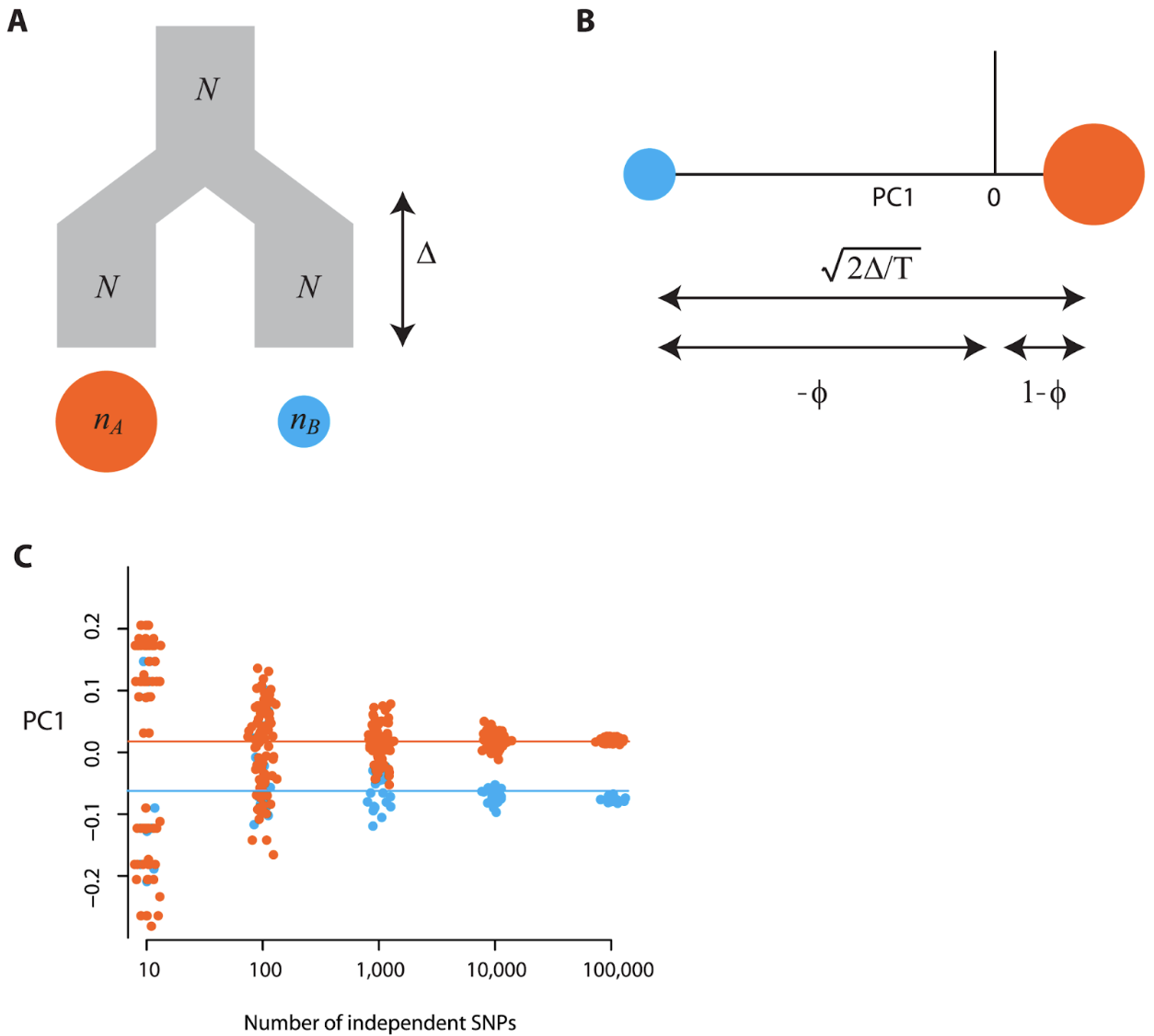 Figure 4. Figure 2 from MacVean (2009) - Simulated a population (Fig 2A), where the expected locations for the two populations on the first PC are defined by the time-since-divergence (the lines in Fig 2C). The signal-to-noise threshold for a sample size of 100 and FST=0.01 is 100 SNPs (see Eq3 above). Fig 2C shows that around or below this threshold of 100 SNPs, the PCA is affected by random clustering. The author notes that the separation of samples (Fig 2C) with 10 SNPs does not correlate with population divergence, but reflects random clustering arising from the small numbers of SNPs.