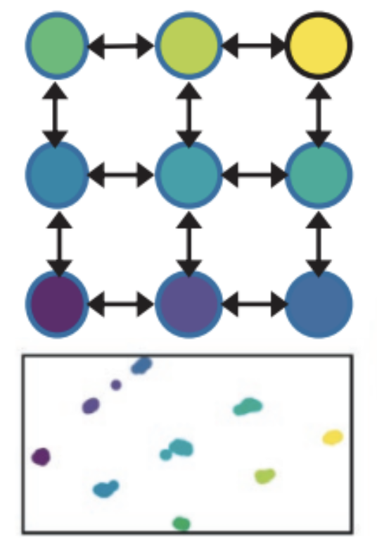 Figure 6. Example figure above modified from Figure 4 in @Lou2021-at. This figure depicts patterns of spatial population structure inferred through principal component analysis (PCA) with lcWGS data. At top is a schematic for a scenario with nine populations (each coloured node corresponds to a simulated population) on a 3x3 grid connected to neighbors via gene flow, and below is the PCA based on the true genotypes under low migration conditions.