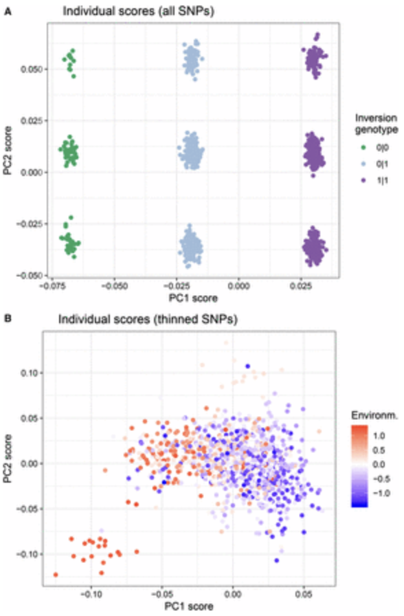 Figure 8. Figure 3 from @Lotterhos2019-yz.