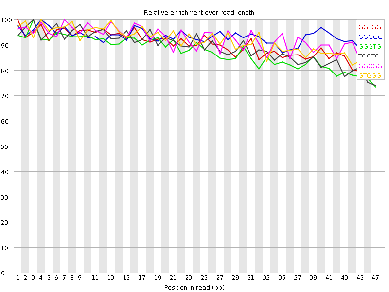 Kmer graph