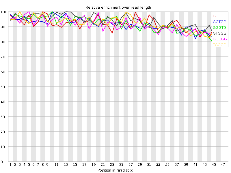 Kmer graph