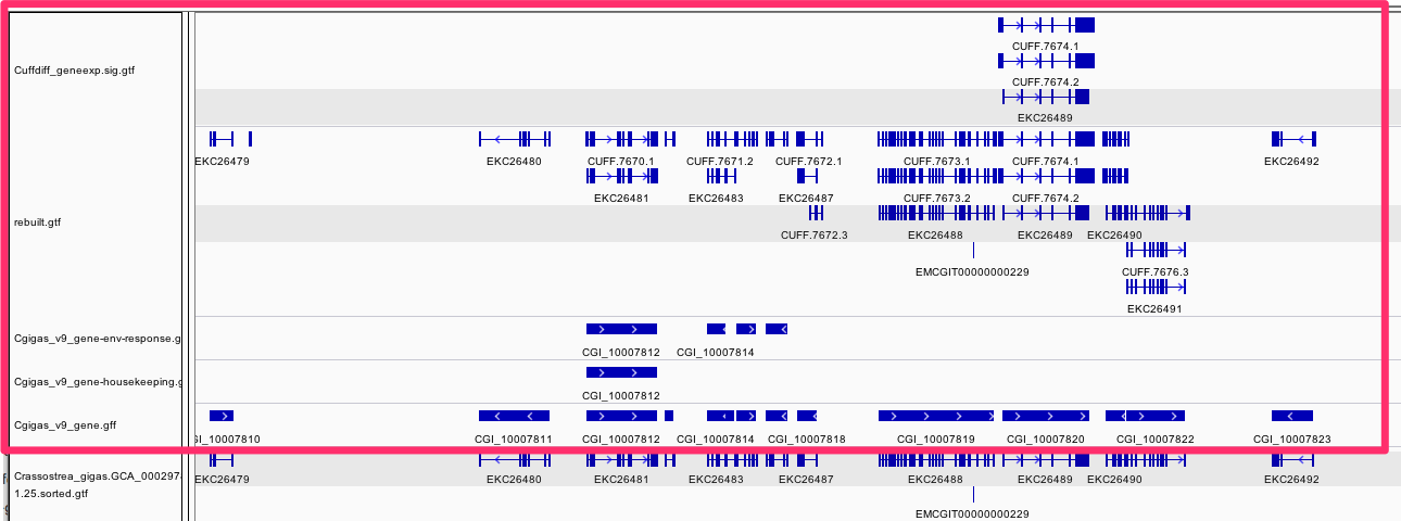IGV_and_Directory_Listing_of__halfshell_2015-02-hs-bedgraph__1AA51F1B.png