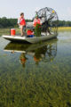 80px-Hydrilla_verticillata_collection_LakeSeminoleFL.jpg