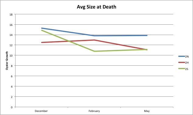 Avg Size at Death 2.jpg