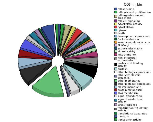 Clam_GO_PieChart.jpg