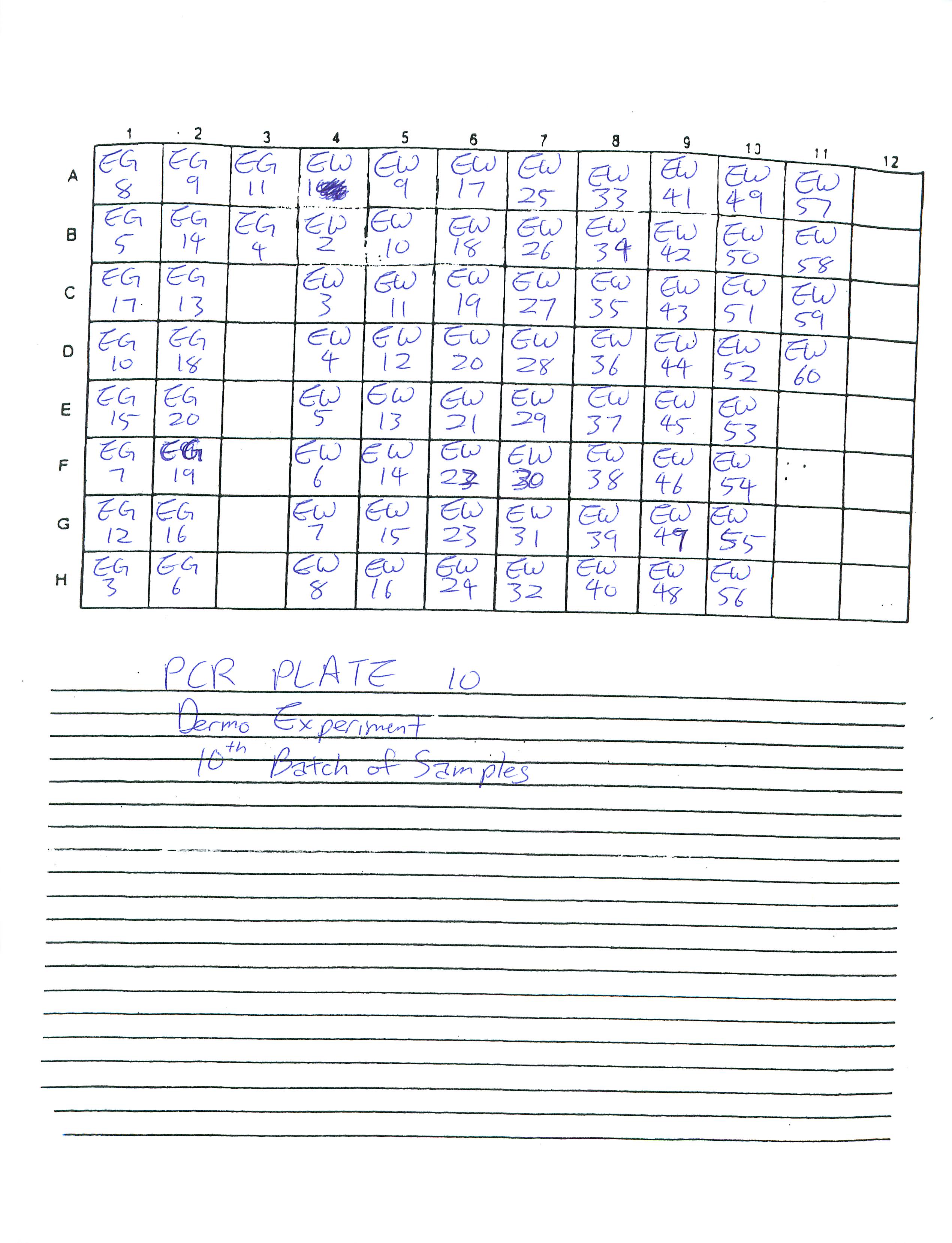 Dermo_PCR_Plate_10.jpg