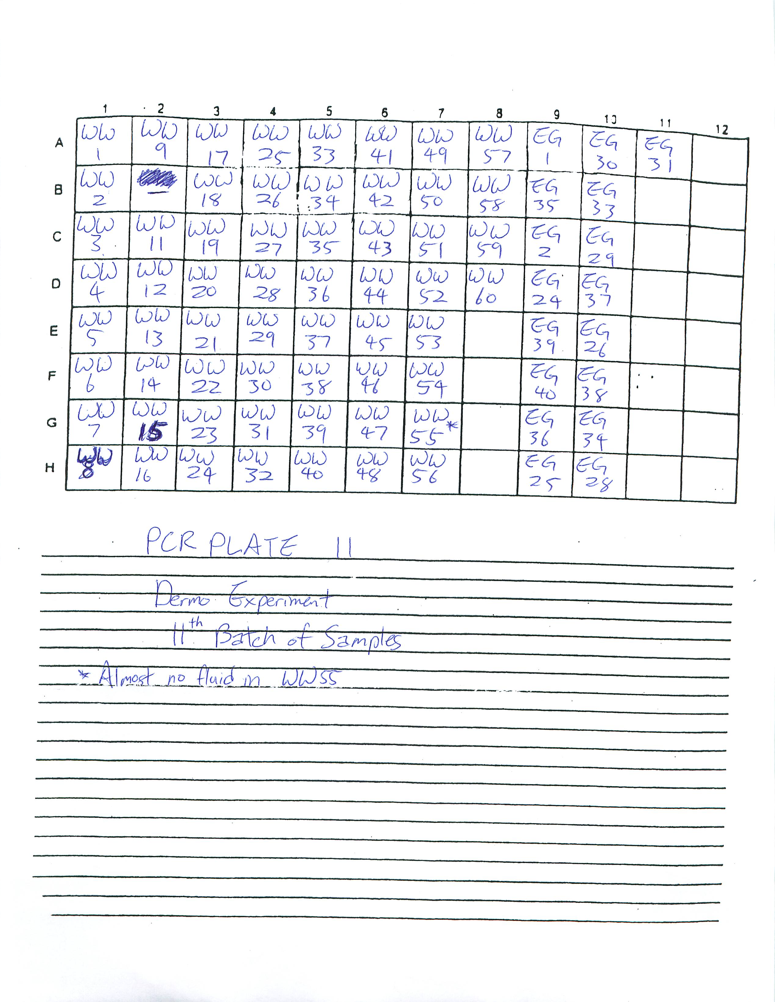 Dermo_PCR_Plate_11.png