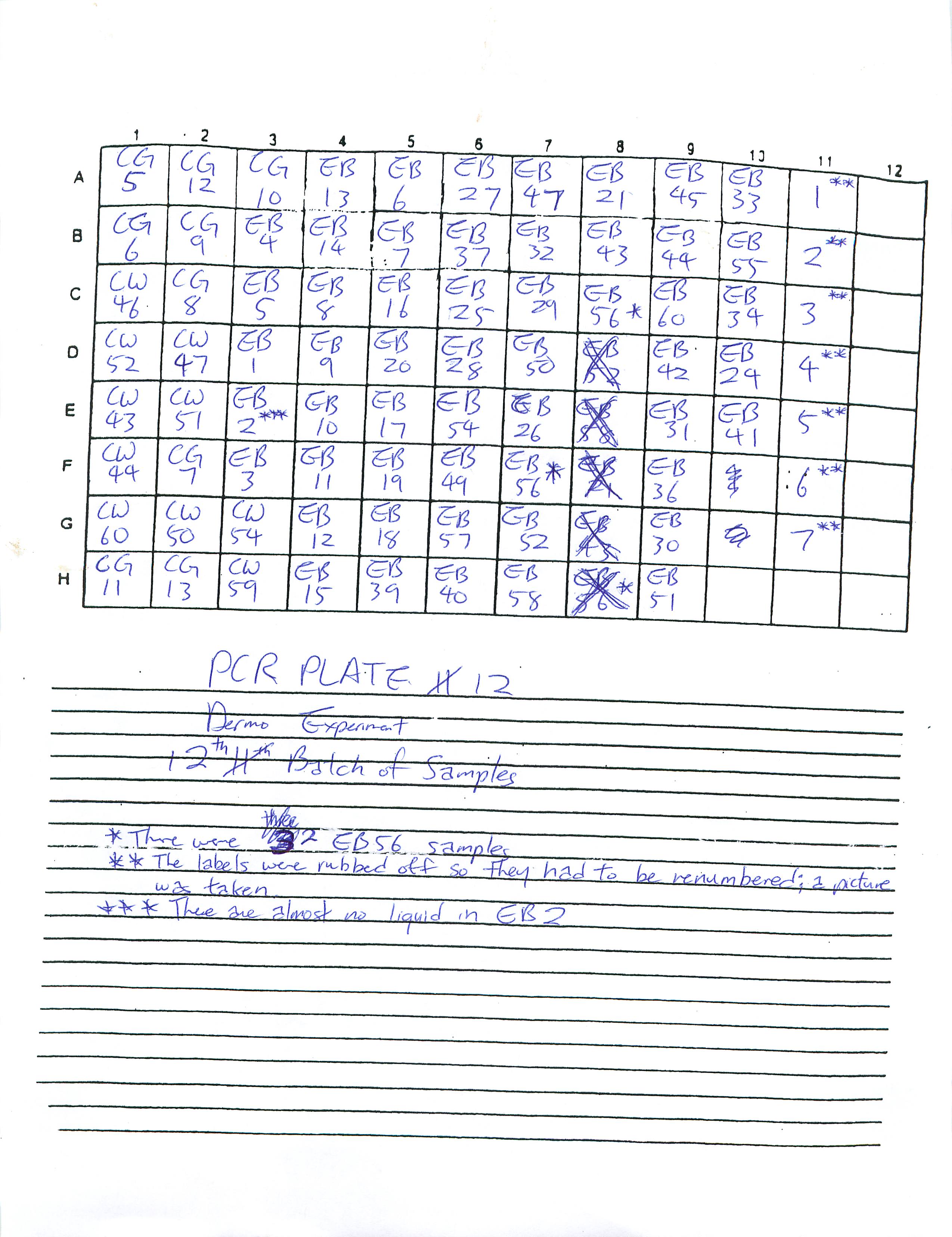 Dermo_PCR_Plate_12.jpg