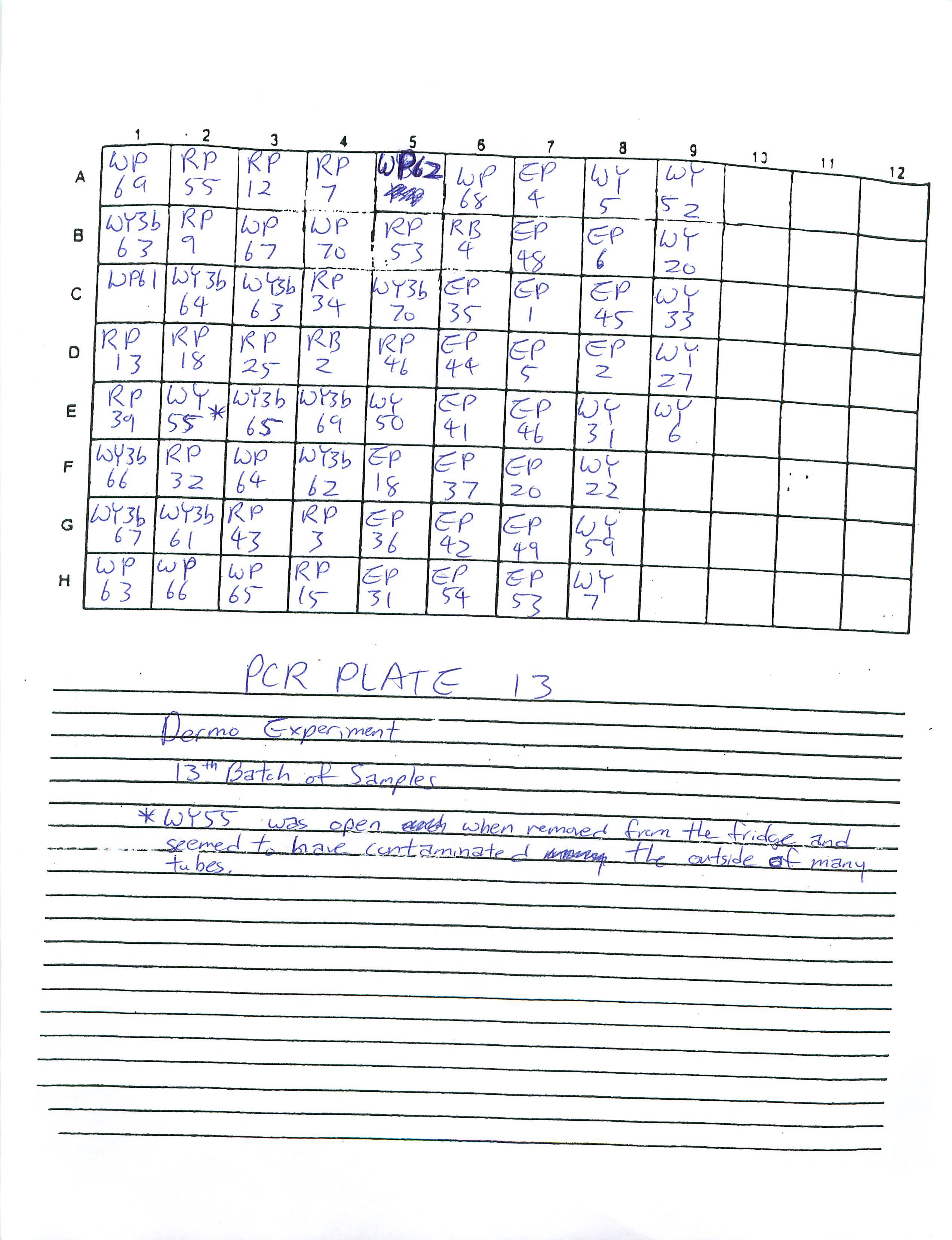 Dermo_PCR_Plate_13.jpg