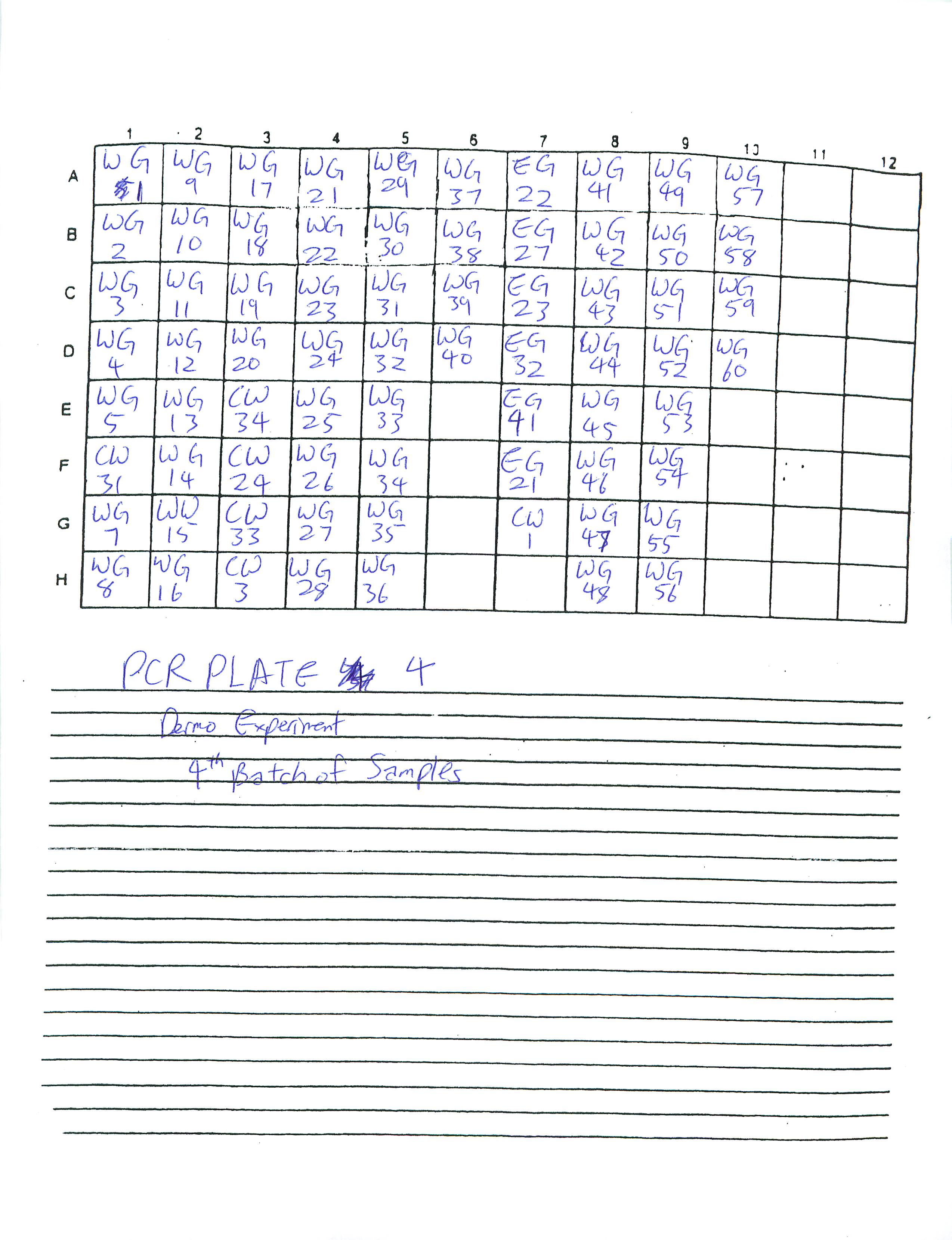 Dermo_PCR_Plates-3.jpg