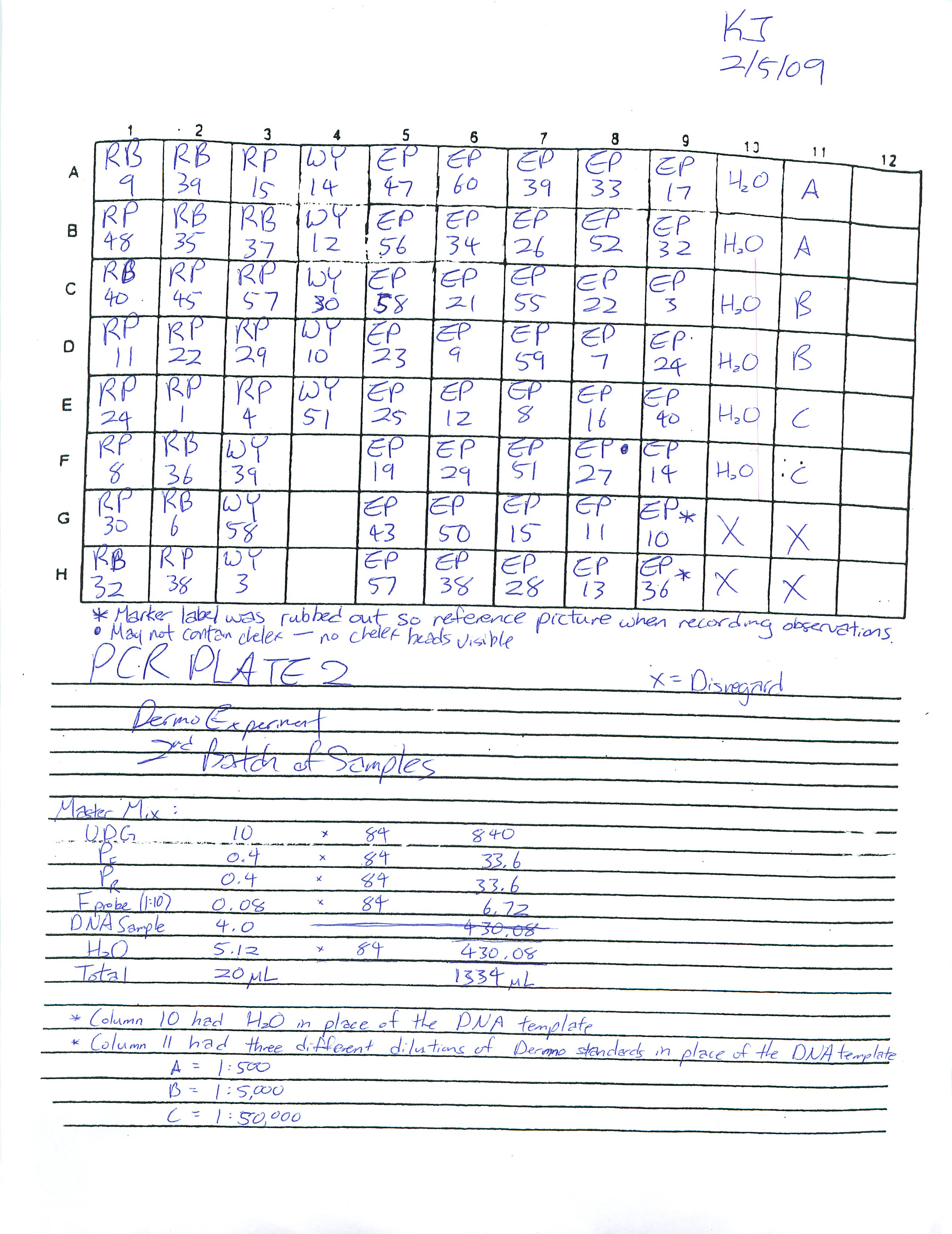 Dermo_Real_Time_PCR_Plate_21.jpg