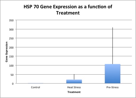 Kulesza_HSP70Regulation_Prestress.jpg