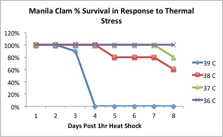 ManilaClam_HS_summary_pilot2.jpg