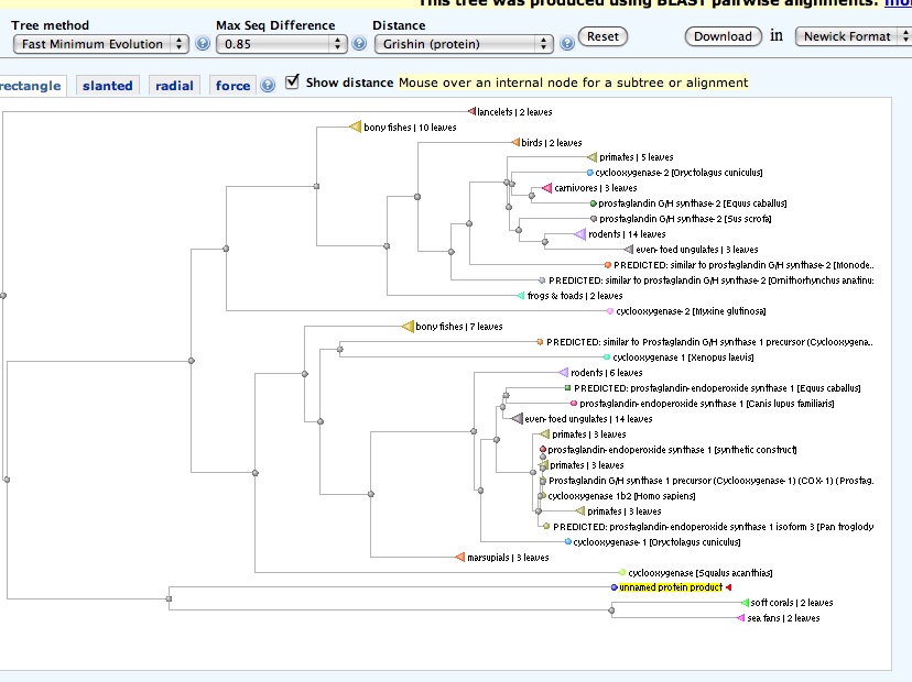 NCBI_tree_blasting_ORFs.jpg