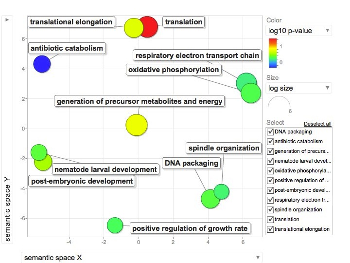 OA454Gonad_REViGO_Figure_FDR01.jpg