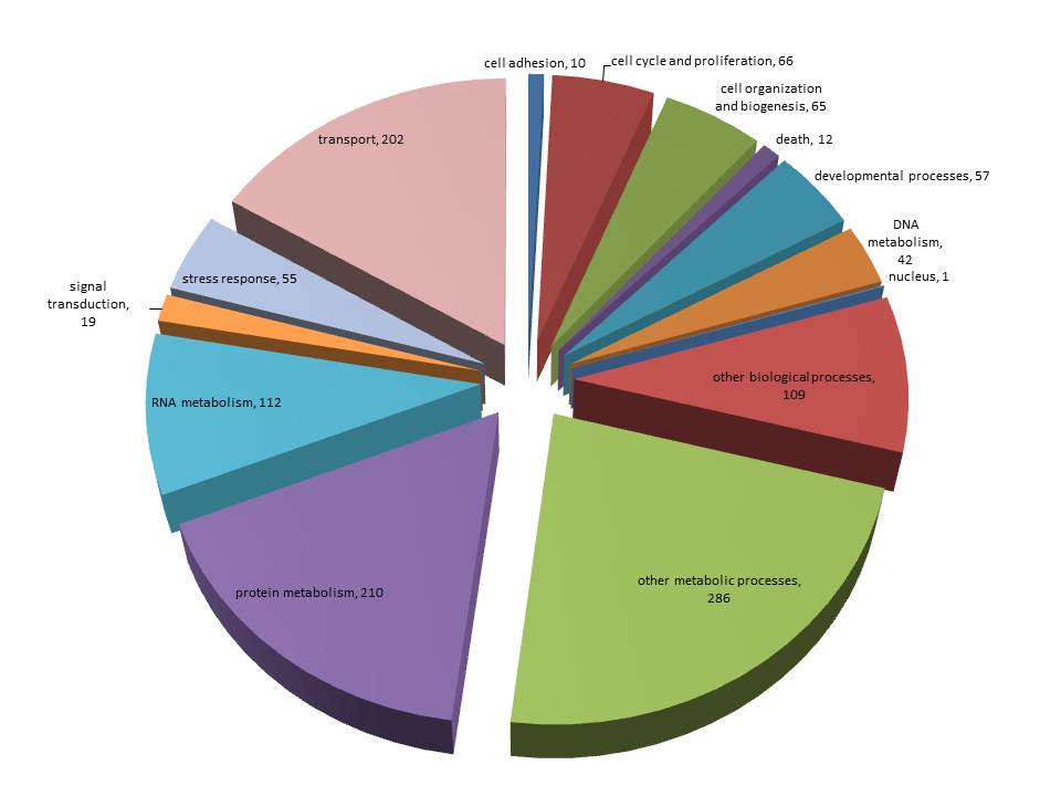 OA_RNAseq_2Fold_BP_Pie.jpg