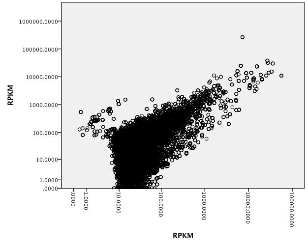 OA_RNAseq_Perlim_Volcano.jpg