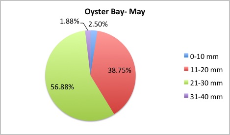 OysterBay5.jpg