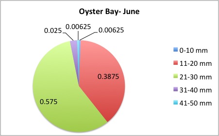 OysterBay6.jpg