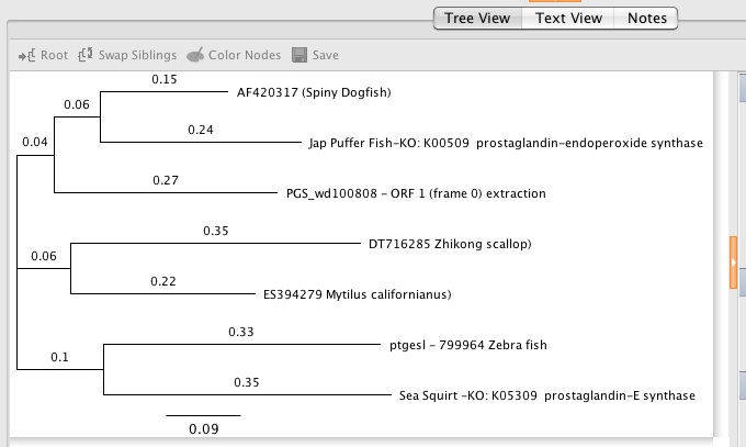 PGS_tree_(using_ESTs_for_bivalve_species).jpg