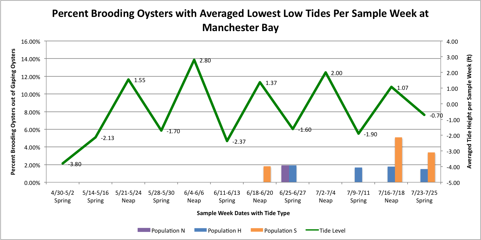 PercBrooderswithLowestLowTidesMANCHESTER.png