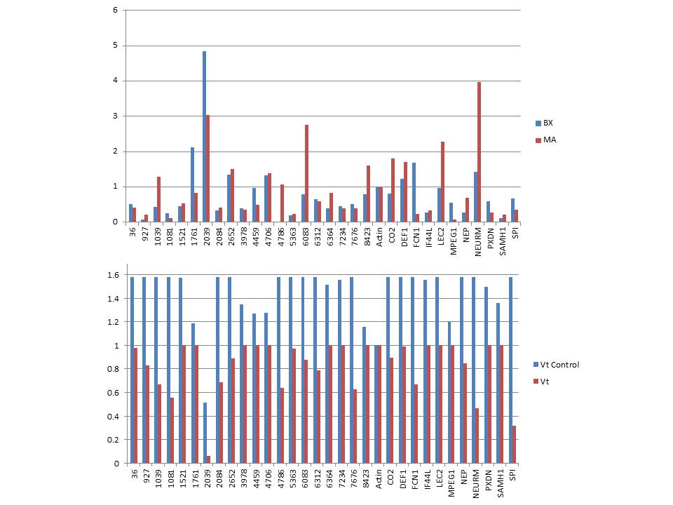 PrimerTest_06092011.jpg