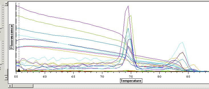 QPCR_melt_curve.jpg