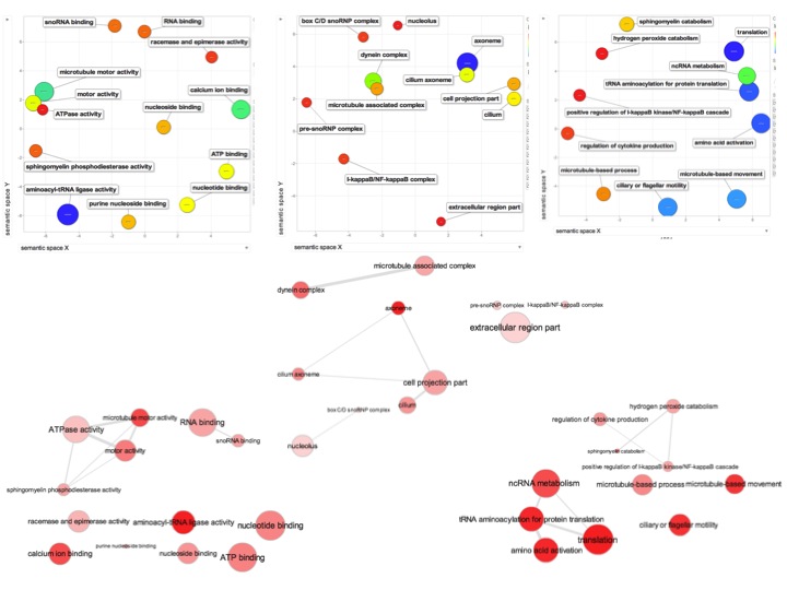 REViGO_Fig_Summary_Clam_RNAseq.jpg