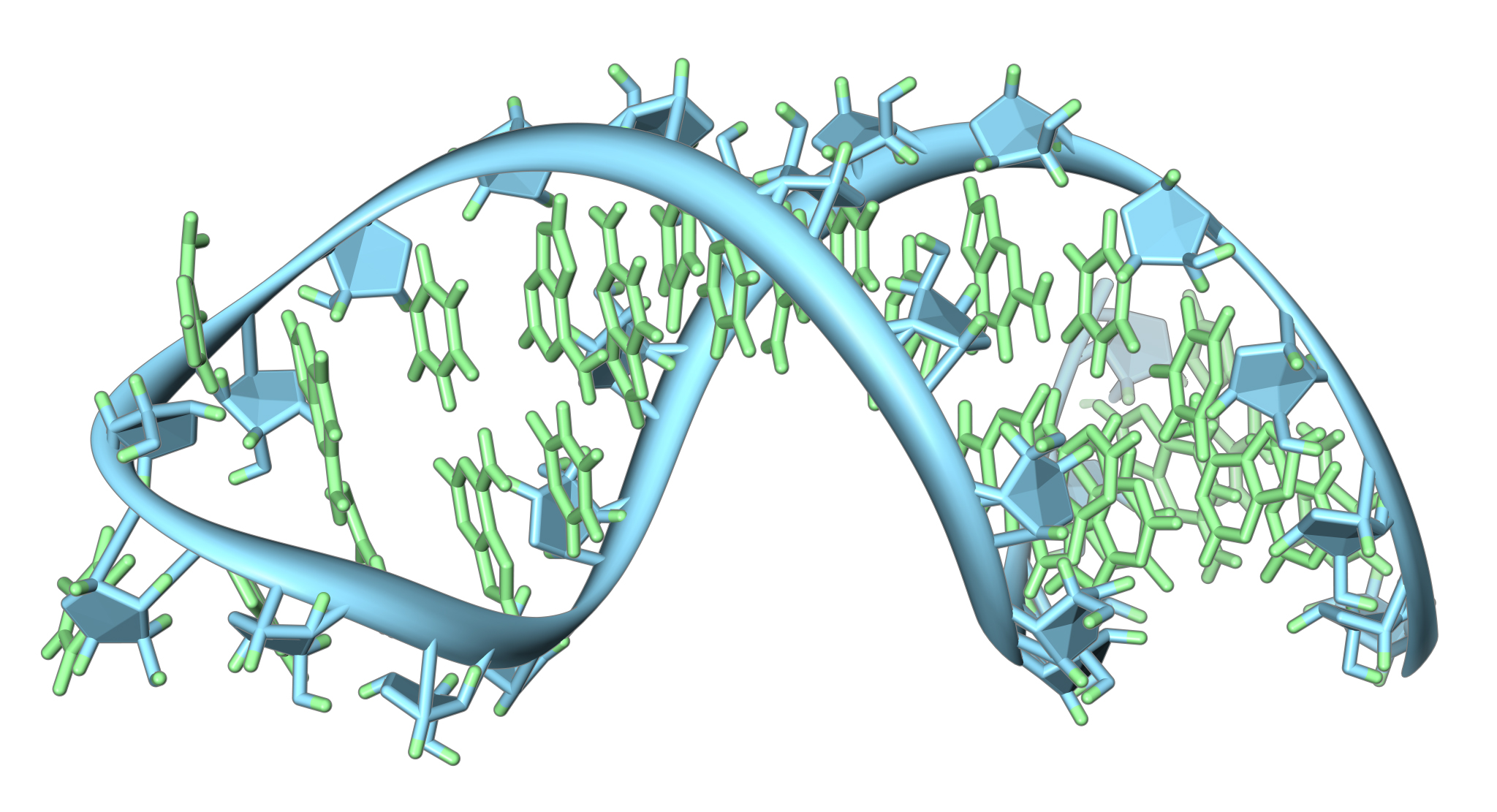 RNA.jpg