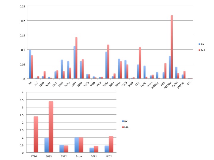 RNAseq_Graph2_061311.jpg