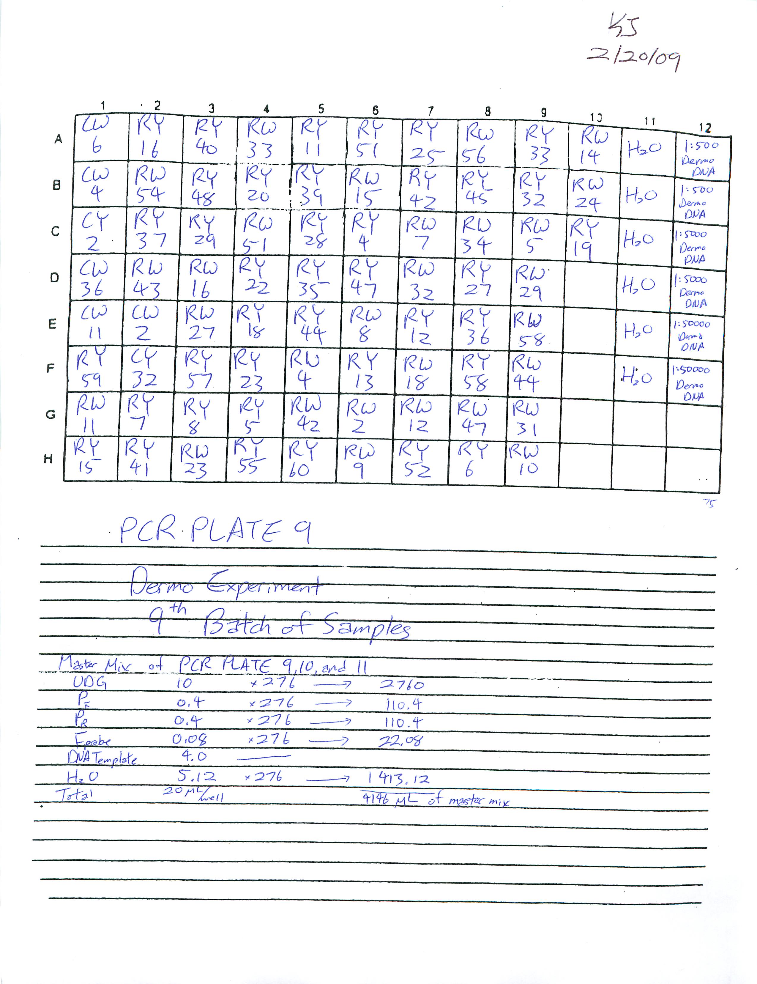 RealTime_PCR_9.jpg