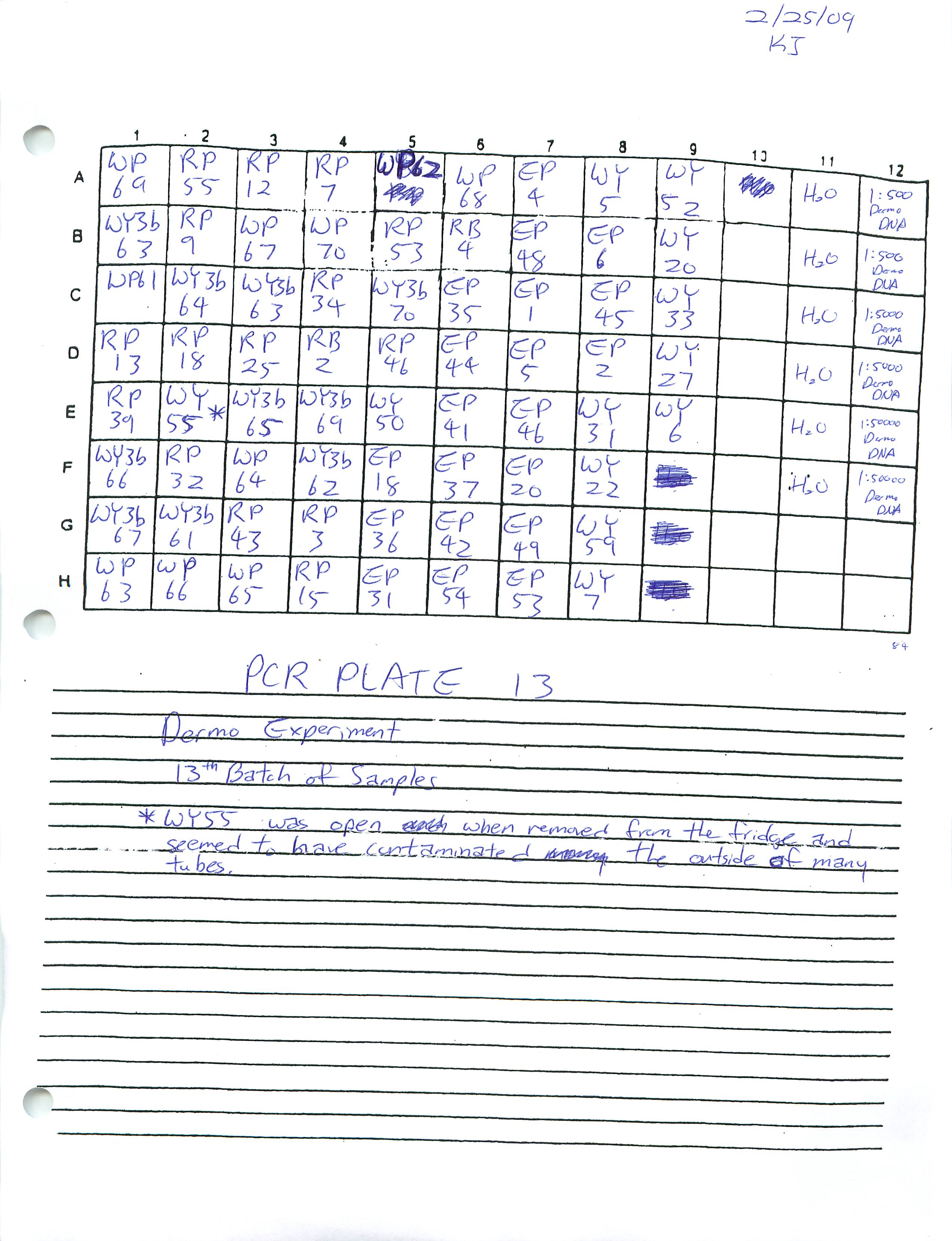 Real_Time_PCR_13.jpg