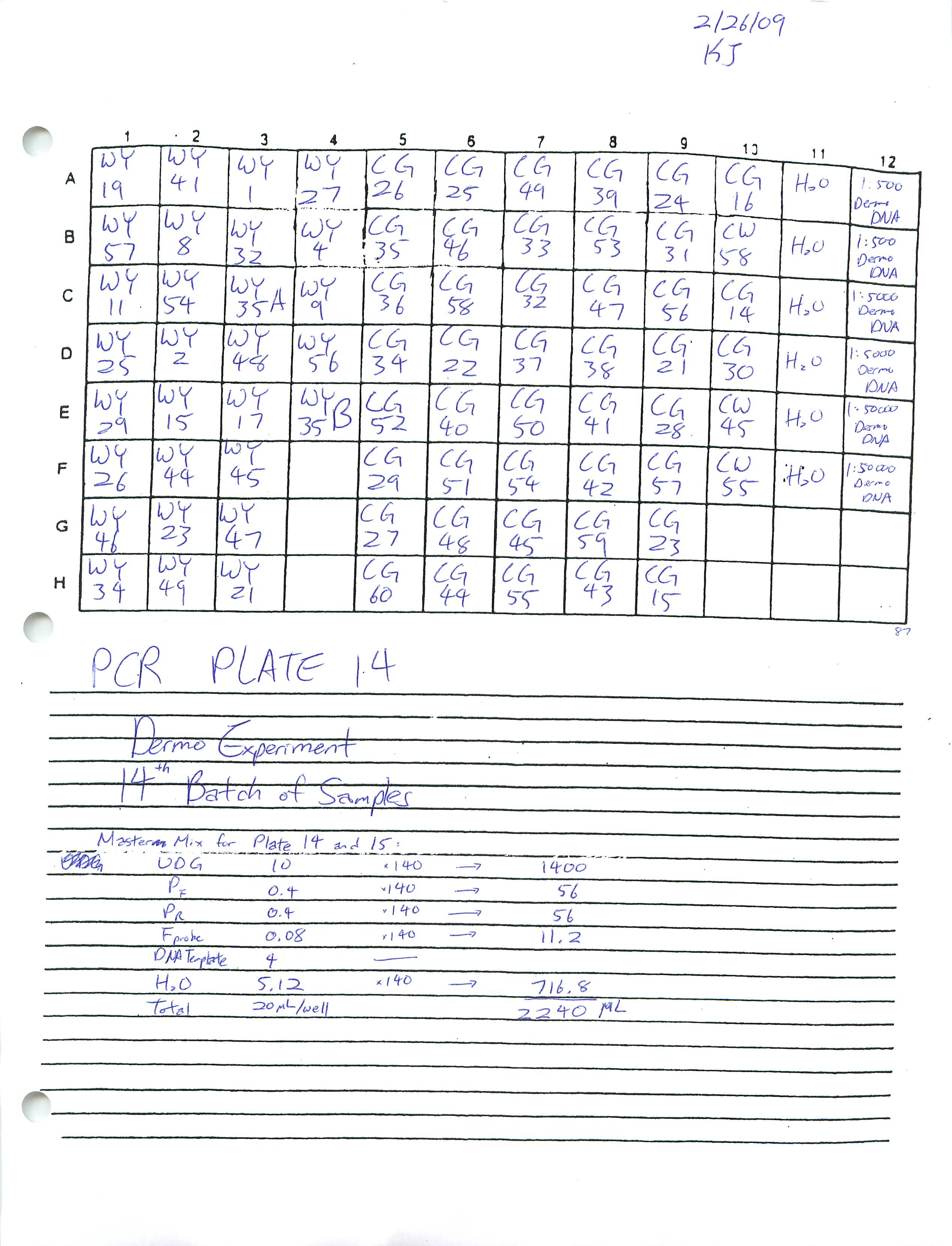 Real_Time_PCR_14.jpg