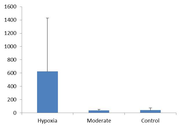 Results_7312013.jpg