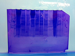 SDS_BLOT_gel.jpg