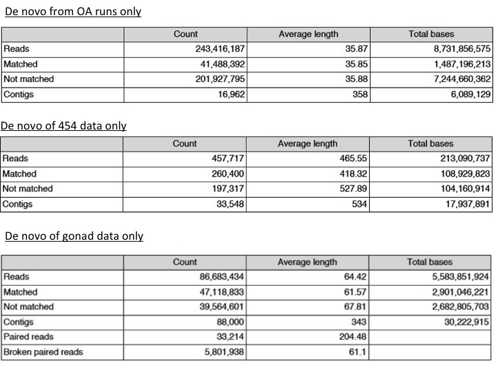Summary_statistics_for_clam_OA_NGS_runs_Slide1.jpg