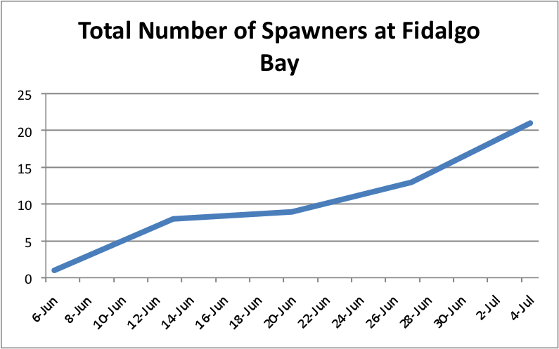 Total#SpawnersatFidalgo.png