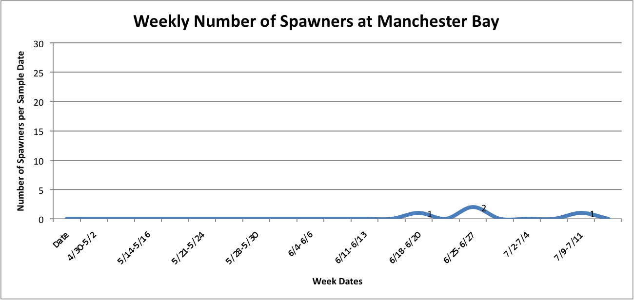 UpDownGraphofSpawnersperWeekMANCHESTER.png