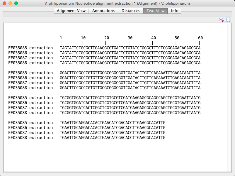 V. philippinarium sequence 1.png