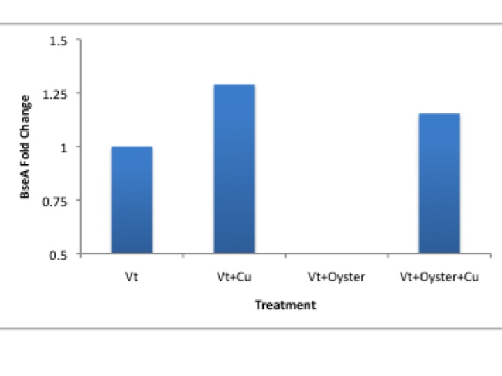 Vt_graph_from_FISH421.jpg