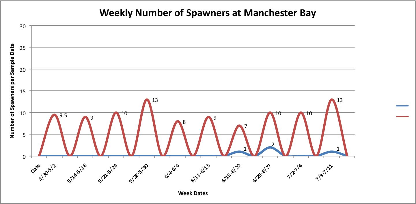 WeeklyNumSpawnerswithTOverlayMANCHESTER.png