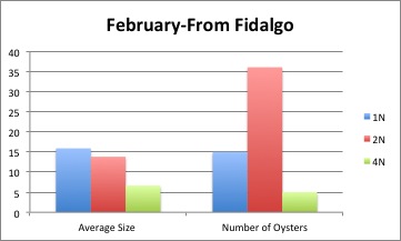 February-From Fidalgo .jpg