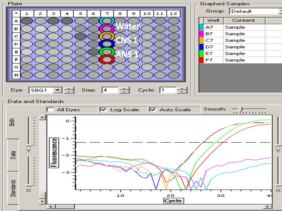 glutathione_melt_curve.jpg