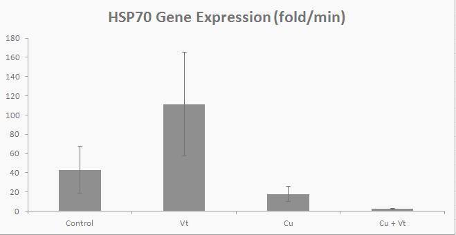 hsp70_graph.JPG