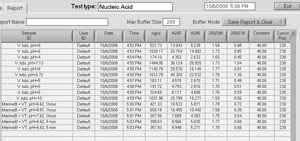 nucleic_acid2.jpg