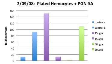 plate_.jpg