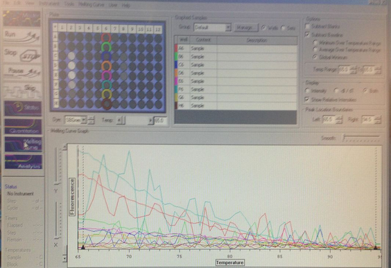 qPCR 2.png